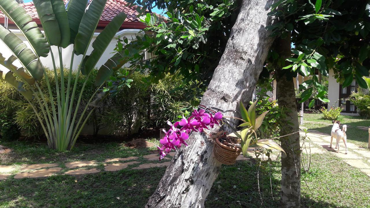 Lanka Beach Grand Villa Rekawa Екстер'єр фото